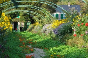 Nasturtium Archway in Garden